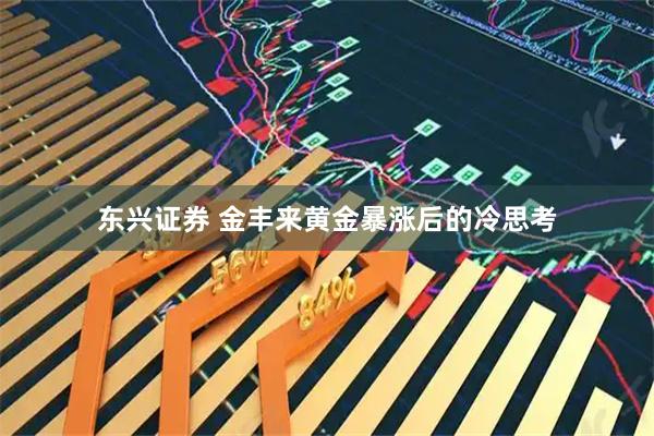东兴证券 金丰来黄金暴涨后的冷思考