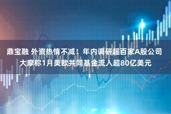 鼎宝融 外资热情不减！年内调研超百家A股公司 大摩称1月美欧共同基金流入超80亿美元