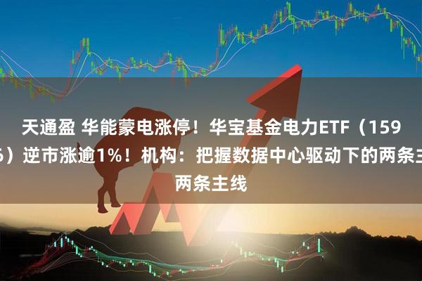 天通盈 华能蒙电涨停！华宝基金电力ETF（159146）逆市涨逾1%！机构：把握数据中心驱动下的两条主线